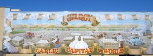 gilroy, garlic capital of the world. 