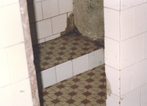 1994.BathroomMold.001